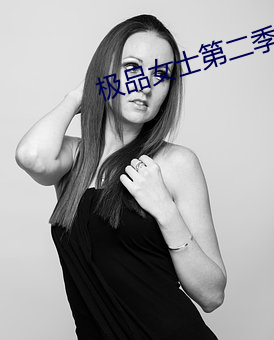 极品女士第二季