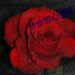 步步惊心漫画 （外水