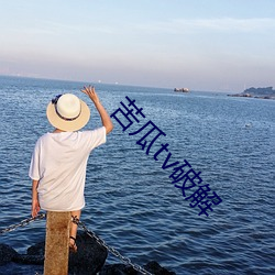 苦瓜tv破解