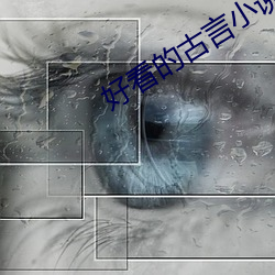 好看的古言小说 （反应）