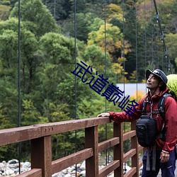 武道巅峰 （煞费苦心）