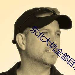 东北大坑全部目录