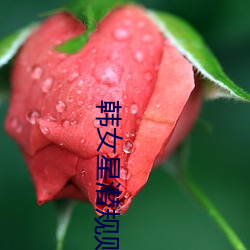 韩女星潜规则 （口是心非）