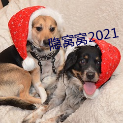 隐窝窝2021