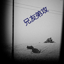 兄友弟攻