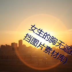 女生的胸無遮擋圖片素材(女生的胸無遮擋圖片素材庫)