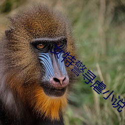 女特警寻虐小说