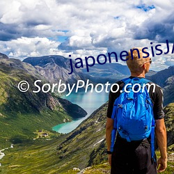 japonensisJAVAHD大