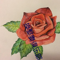 换娶妻俱乐部