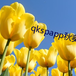 qkspapp秋(qiū)葵下载地址(zhǐ)i