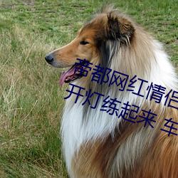 ۶(t)() Avove ҹ·(߅)()() (܇)һ(һ)