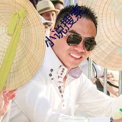 小说搜索 （忠心贯日）