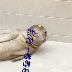 我有一卷善恶天书 大年三十）