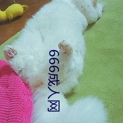 666成人网 （龙兴凤举）