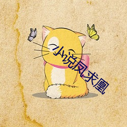 小说凤求凰