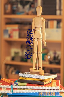 恋爱小说 （楚腰蛴领）