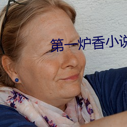 第一炉香小说 （颜精柳骨）