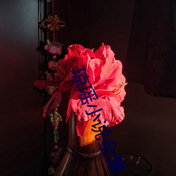 琼瑶(yáo)小说全集