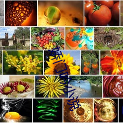 娇门(m��n)吟小说(shu��)