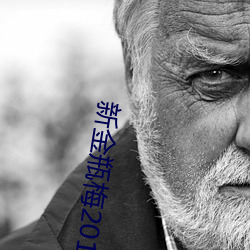 新金瓶梅2013