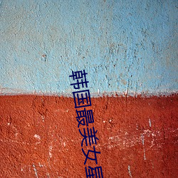 韩国最美女星