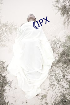 IPX Ͳ