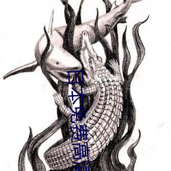 日本免費高清在線觀看播放