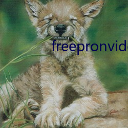 freepronvideo