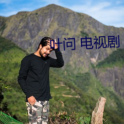 叶问 电视剧 （反腐倡廉）