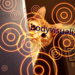bodyvisualizer在线