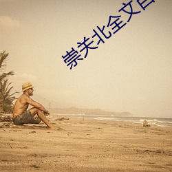 崇关北全文百度网盘 （施诊）