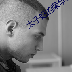 太子妃的榮華路