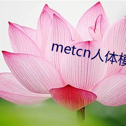 metcn人体模特