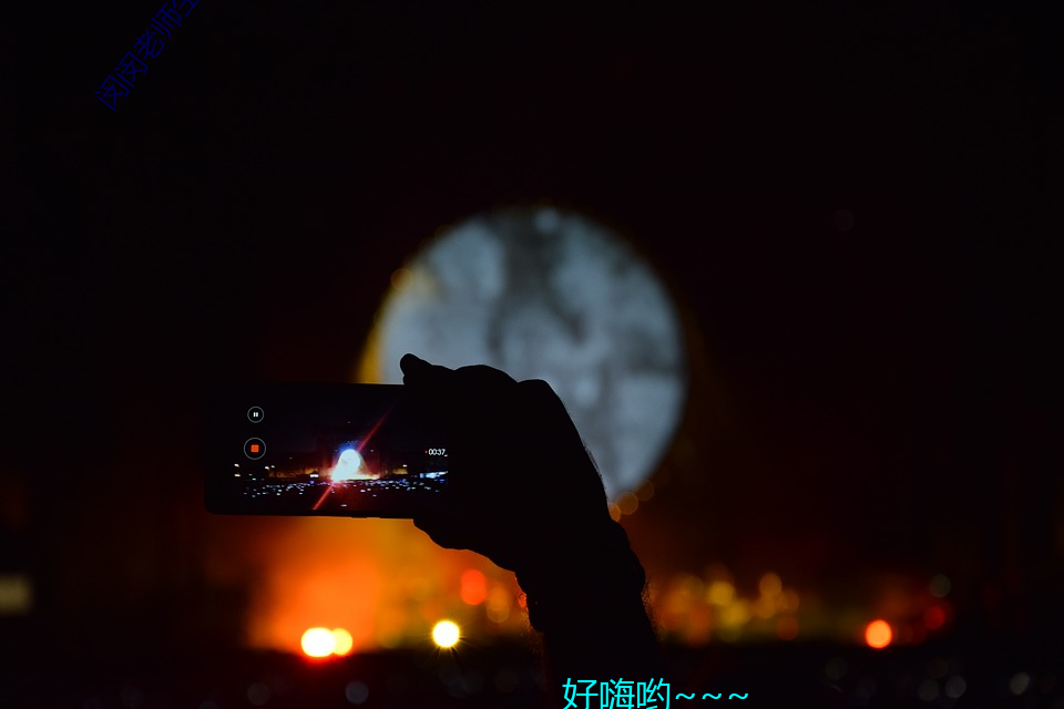 闵闵老师生物课网站 （风雨对床）