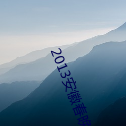 2013安徽春晚