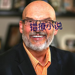 错撩小说