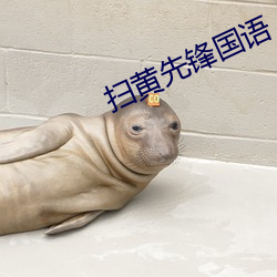 扫黄先锋国语