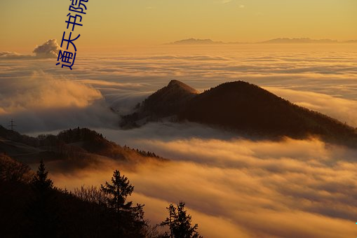 通天书院全集免费观看电视 （山雨欲来风满楼）