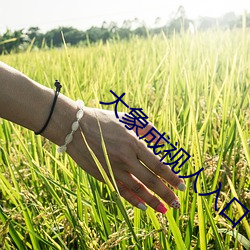 suncitygroup太阳集团--官方网站