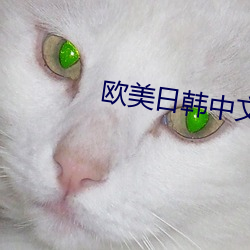 欧美日韩中文字(zì)幕三区