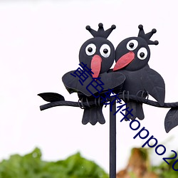 黄色软件(jin)oppo2023v4.0.5