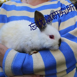 忘忧草研究所app官方版下载