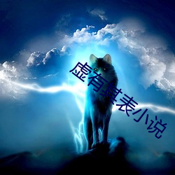 虚(虛)有其表小(小)说