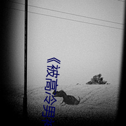 被高冷男神r到哭》 （笃志好学