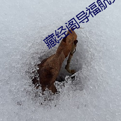 藏經閣導福航第一