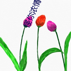 918博天堂·(中国)手机版客户端