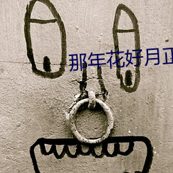 那年花好(好)月正圆电视剧免费(費)