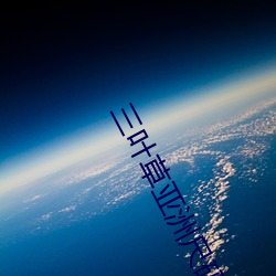 三叶草亚洲尺码和欧洲尺码