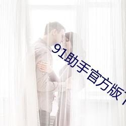91助手官方版下載