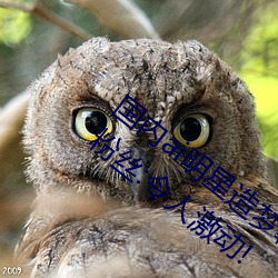 國內ai明星造夢鞠婧祎mv喜歡的來試試吧!粉絲:令人激動!